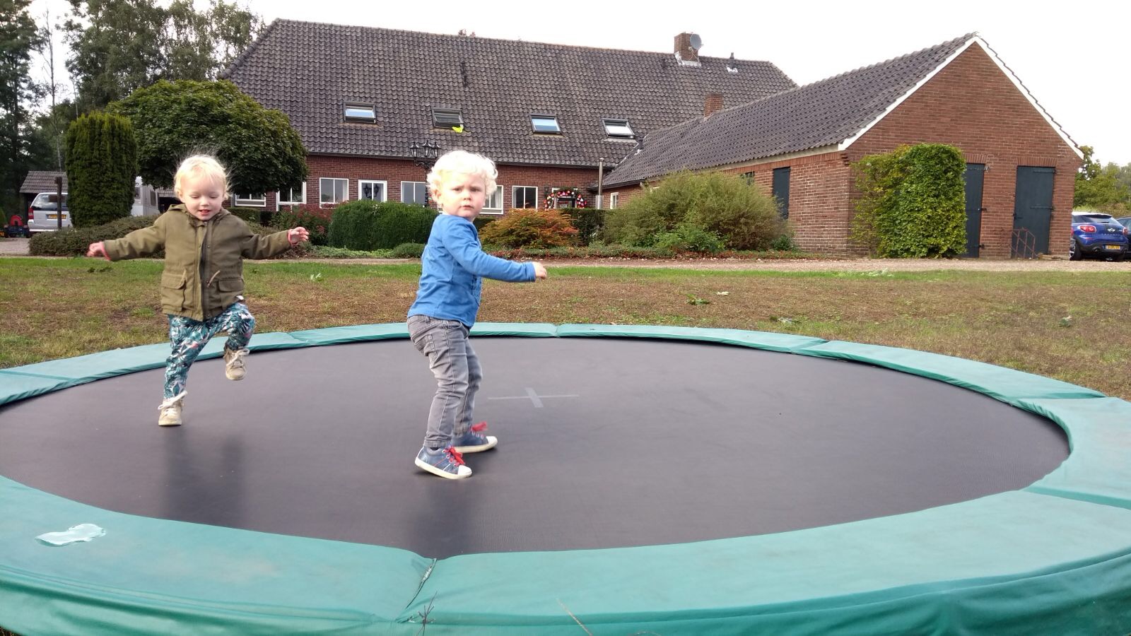 Trampoline